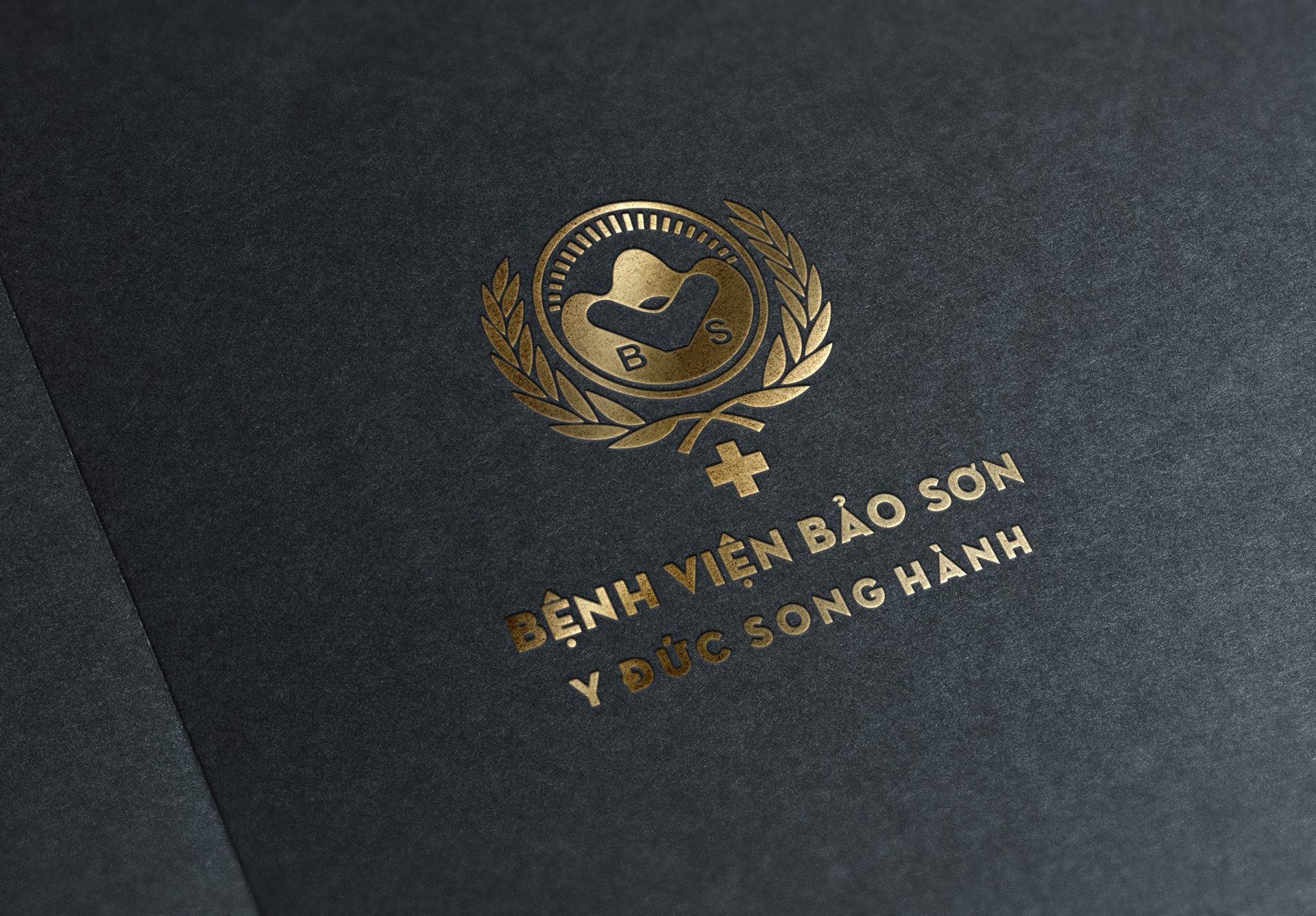 Dịch vụ thiết kế logo bệnh viện đẹp 6 logo b%E1%BB%87nh vi%E1%BB%87n 9